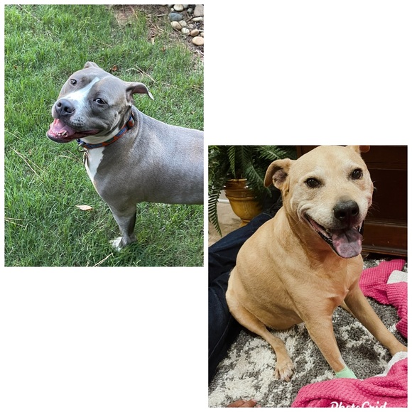 Welcome to our page! We love Poshing! ❤️ - Picture 16 of 16